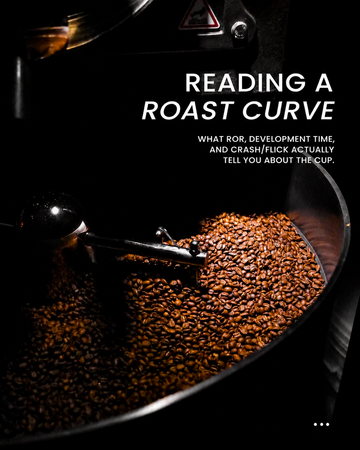 reading a roast curve , coffee