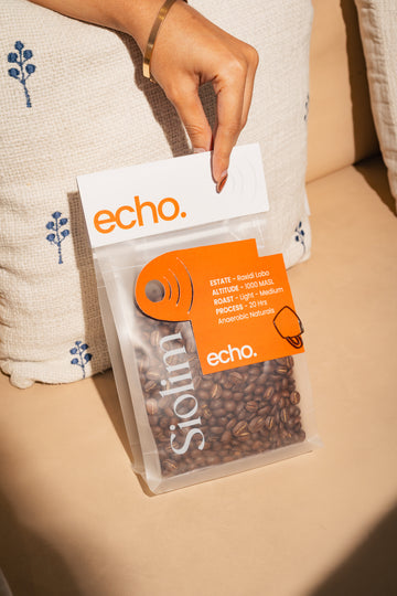 Echo