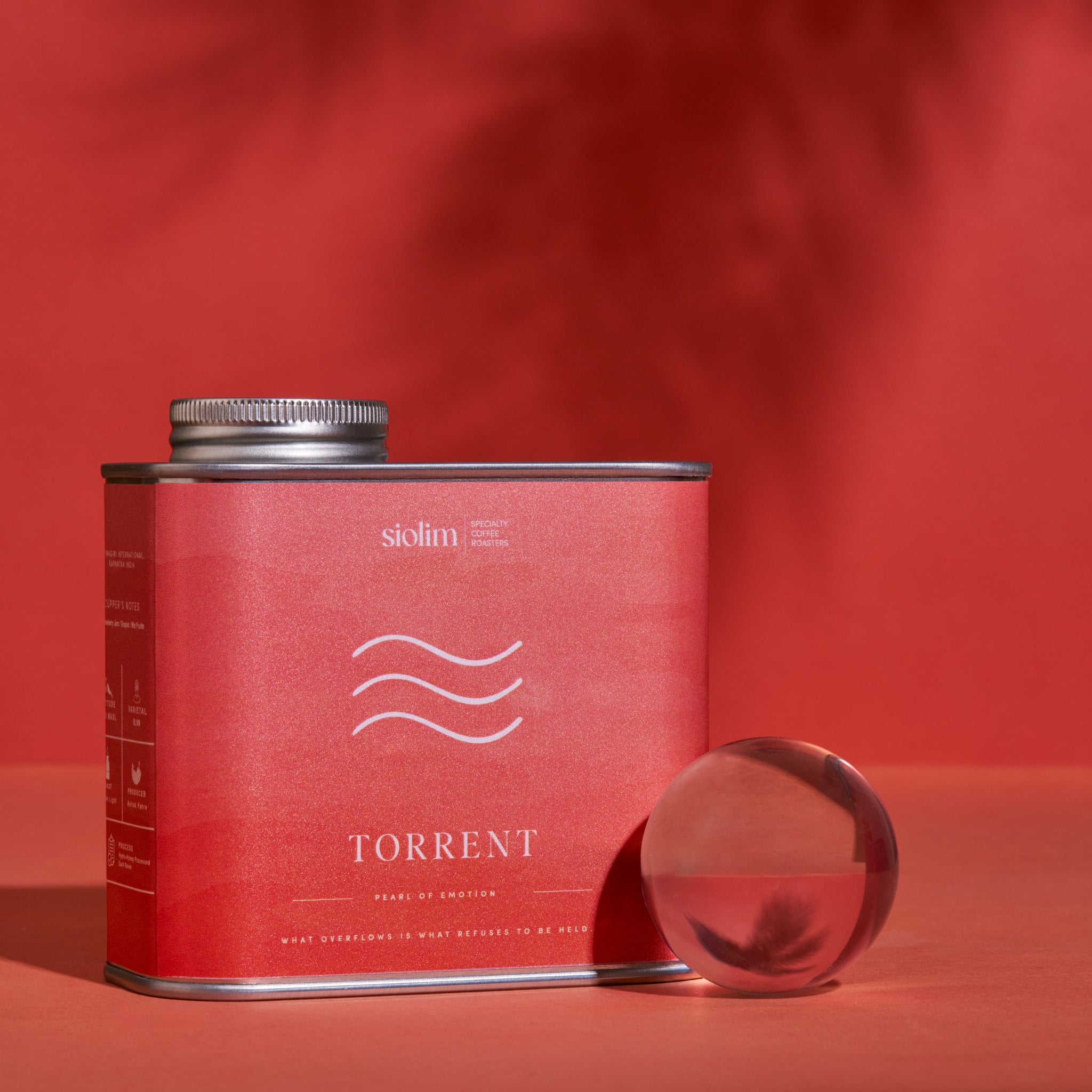 Torrent