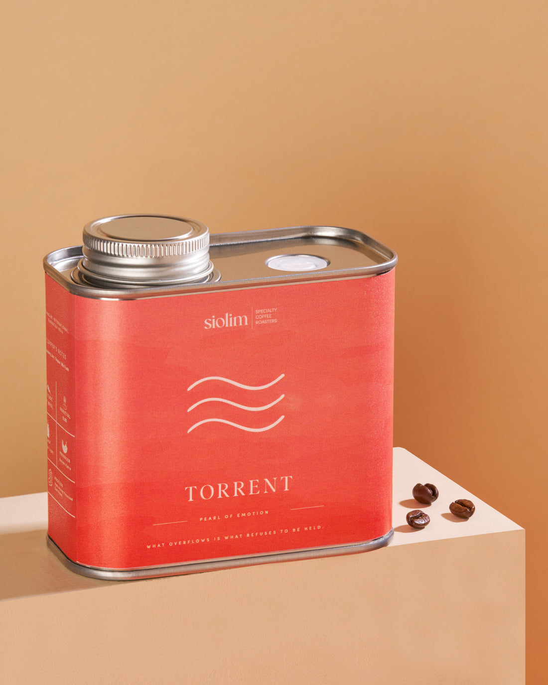 Torrent